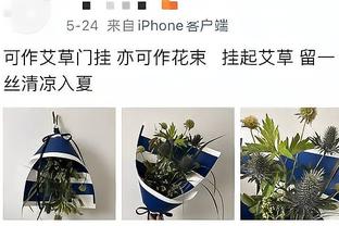 阿努诺比：我们投丢了好的投篮机会 对手把球投进了